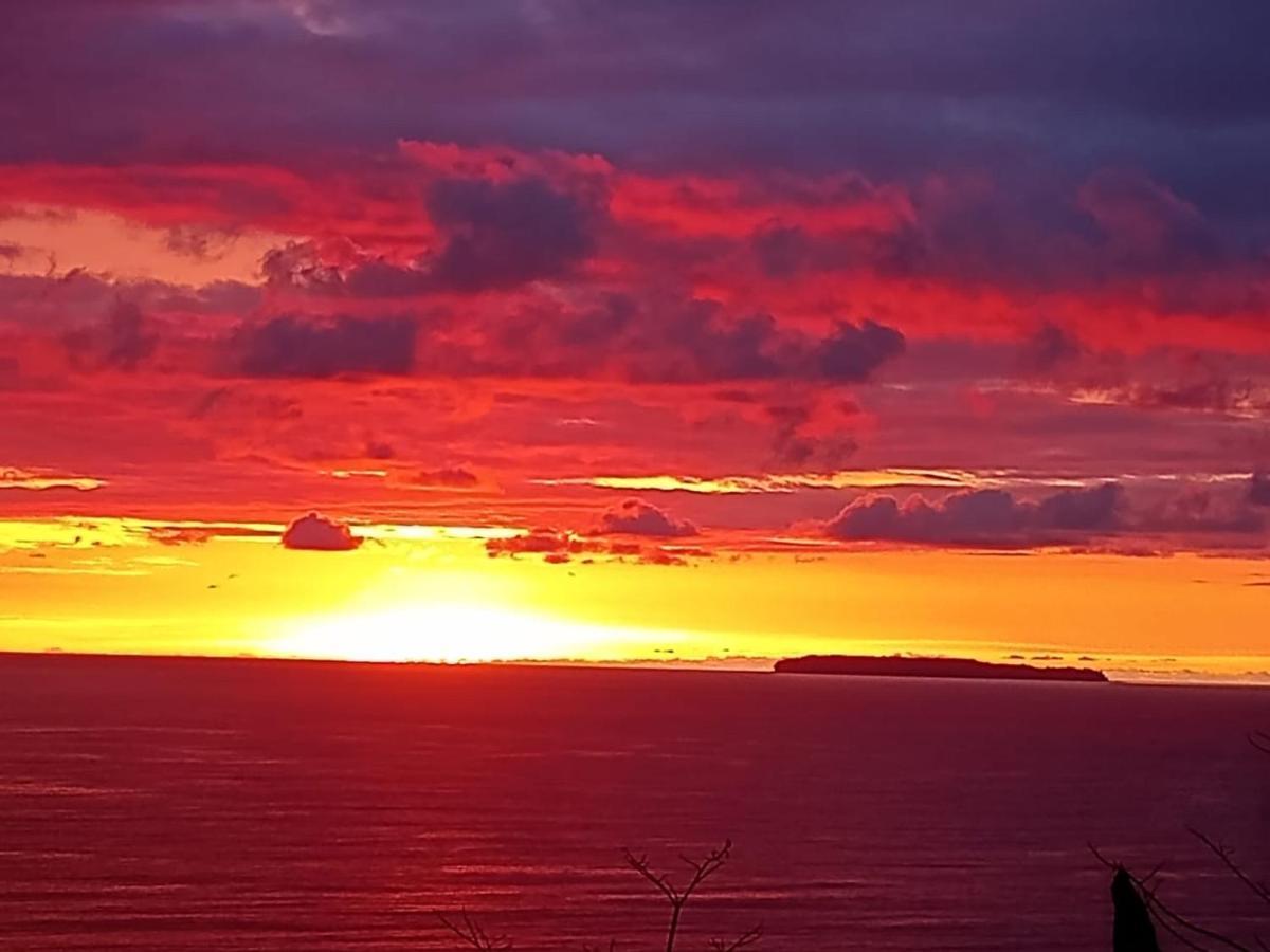 Cabinas Vista Isla Del Cano Corcovado Drakes Bay 외부 사진